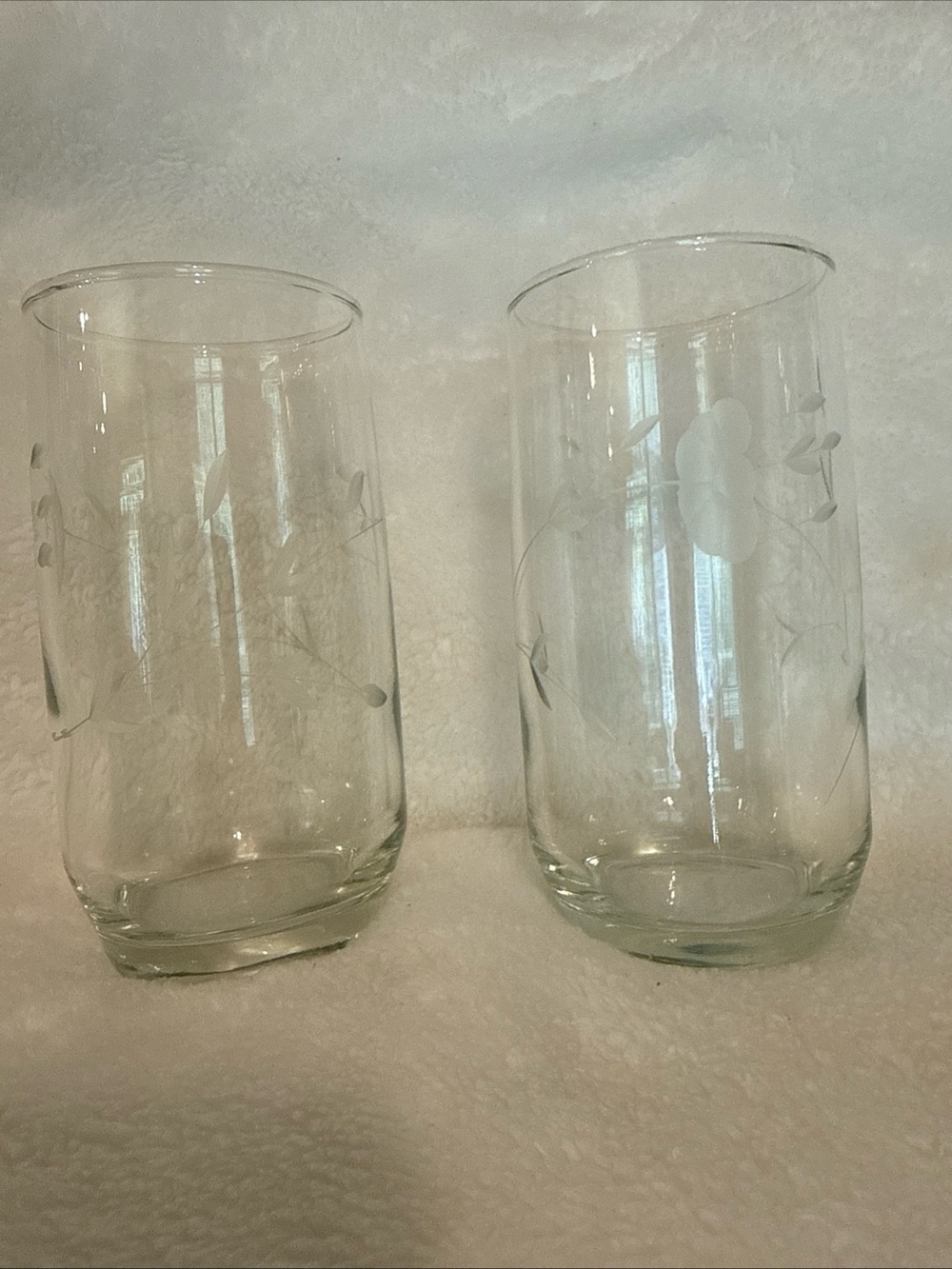 Etched Glass Tumbler Pair Clear Floral Design princess house heritage 5” set 2